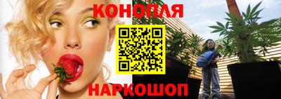 Альфа ПВП Пыть-Ях