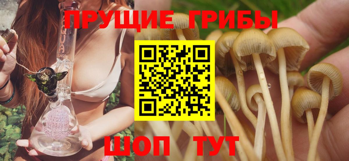 Псилоцибиновые грибы ЛСД Похвистнево