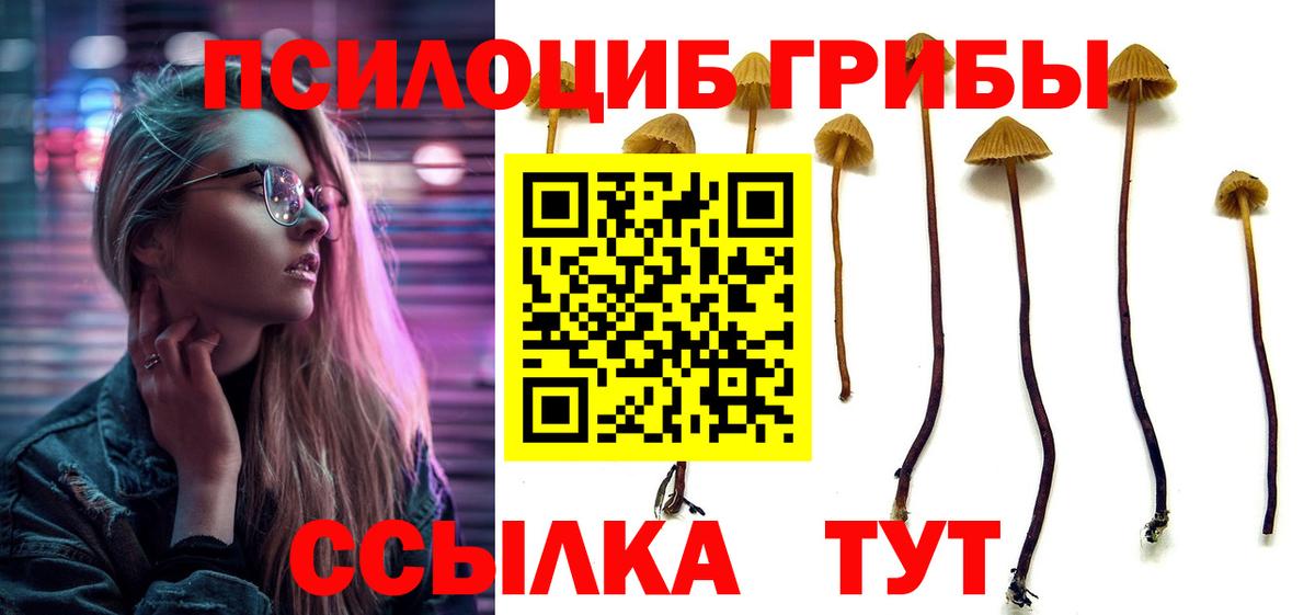 Галлюциногенные грибы мухоморы  Вход с VPN  Похвистнево  Галлюциногенные грибы MAGIC MUSHROOMS 